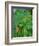 Rain Forest, Malaysia, 1990-Laila Shawa-Framed Giclee Print