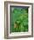 Rain Forest, Malaysia, 1990-Laila Shawa-Framed Giclee Print