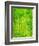 Rain Forest, Malaysia, 1990-Laila Shawa-Framed Giclee Print