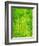 Rain Forest, Malaysia, 1990-Laila Shawa-Framed Giclee Print