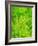 Rain Forest, Malaysia, 1990-Laila Shawa-Framed Giclee Print