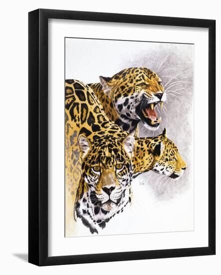 Rain Forest Wrath-Barbara Keith-Framed Giclee Print