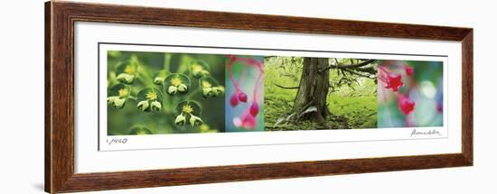 Rain Forest-Florence Delva-Framed Giclee Print