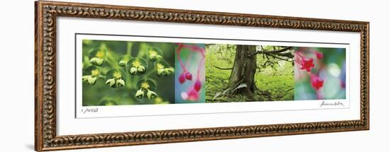 Rain Forest-Florence Delva-Framed Giclee Print