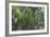 Rain in the Forest, North Rupununi, Southern Guyana-Keren Su-Framed Photographic Print