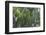 Rain in the Forest, North Rupununi, Southern Guyana-Keren Su-Framed Photographic Print