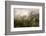 Rain Mist Rising from the Forest Canopy in Danum Valley-James Morgan-Framed Photographic Print