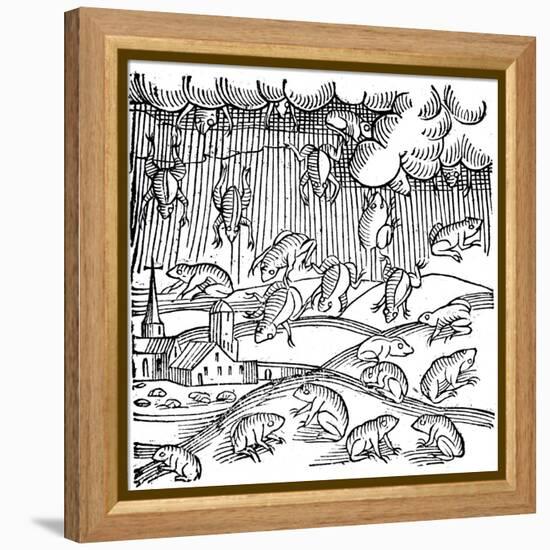 Rain of Frogs Recorded in 1355-null-Framed Premier Image Canvas