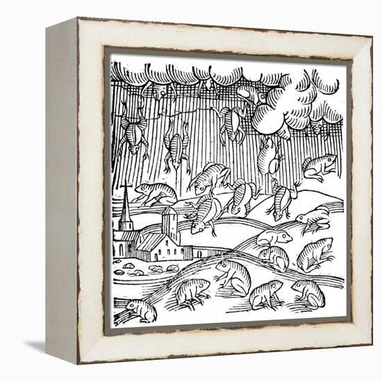 Rain of Frogs Recorded in 1355-null-Framed Premier Image Canvas