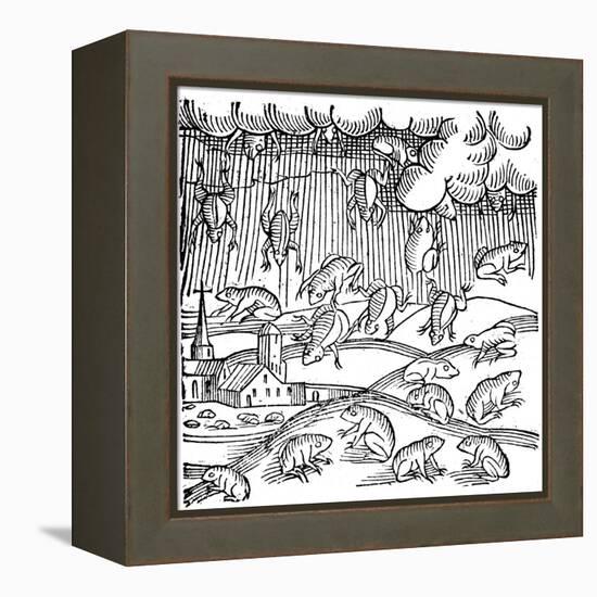 Rain of Frogs Recorded in 1355-null-Framed Premier Image Canvas