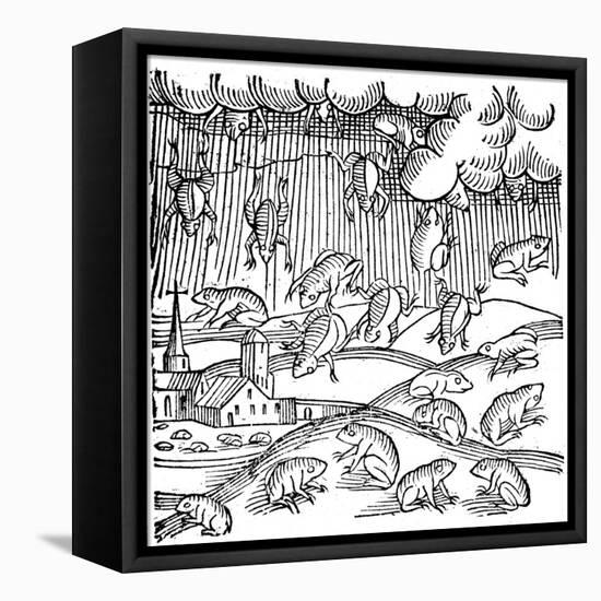 Rain of Frogs Recorded in 1355-null-Framed Premier Image Canvas