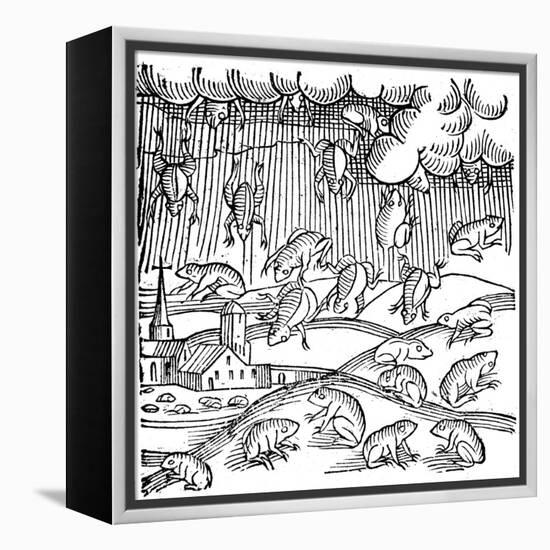 Rain of Frogs Recorded in 1355-null-Framed Premier Image Canvas