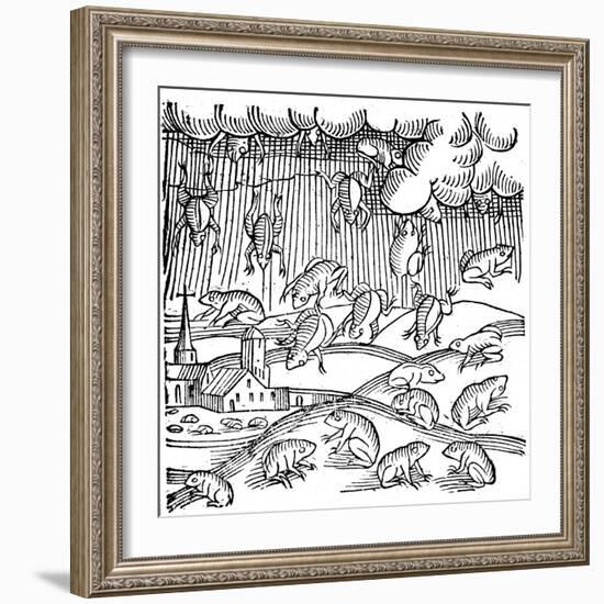 Rain of Frogs Recorded in 1355-null-Framed Giclee Print