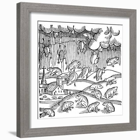 Rain of Frogs Recorded in 1355-null-Framed Giclee Print