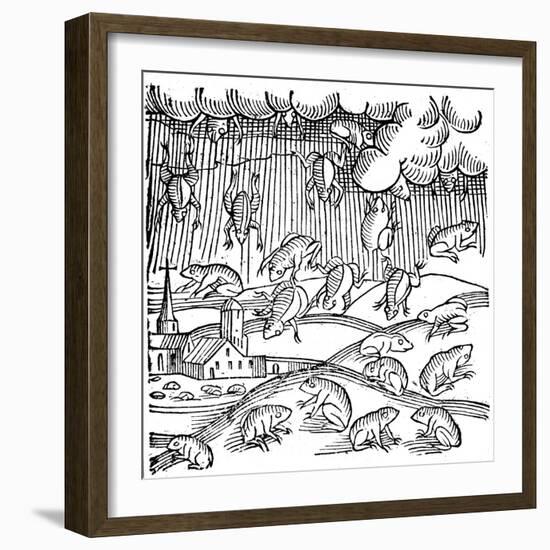 Rain of Frogs Recorded in 1355-null-Framed Giclee Print