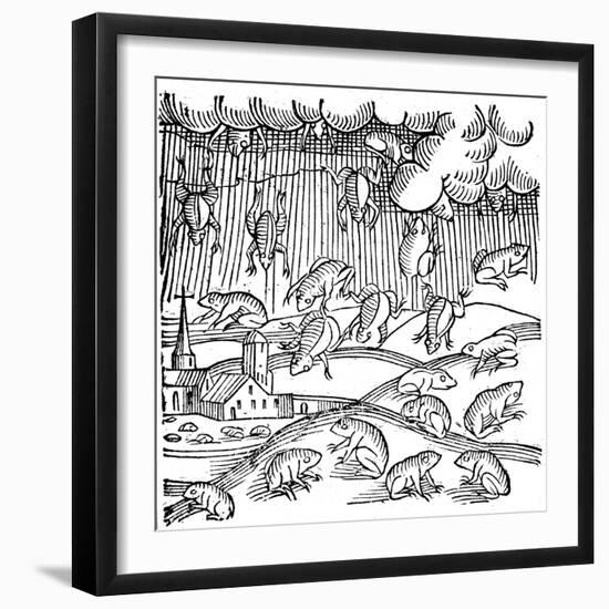 Rain of Frogs Recorded in 1355-null-Framed Giclee Print