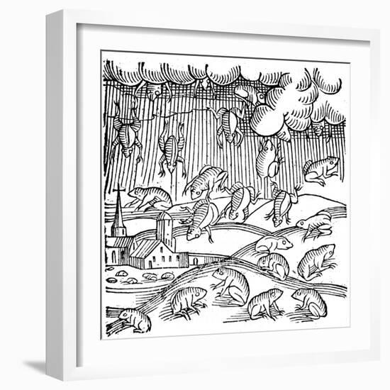 Rain of Frogs Recorded in 1355-null-Framed Giclee Print