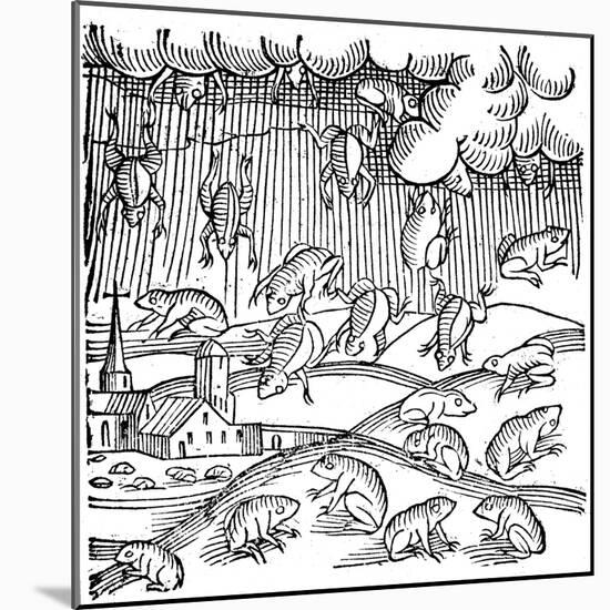 Rain of Frogs Recorded in 1355-null-Mounted Giclee Print