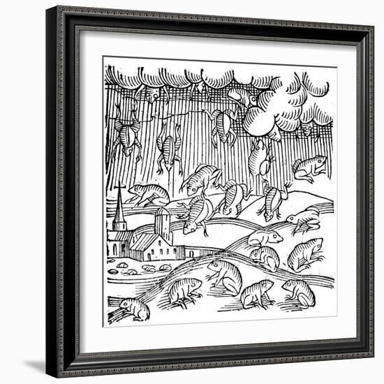 Rain of Frogs Recorded in 1355-null-Framed Giclee Print