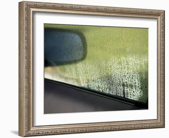 Rain Reflections I-Nicole Katano-Framed Photo