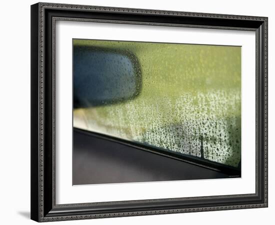 Rain Reflections I-Nicole Katano-Framed Photo