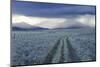 Rain Showers over Sagebrush-Steppe at the Foot of the Sawtooth Mountains-Gerrit Vyn-Mounted Photographic Print
