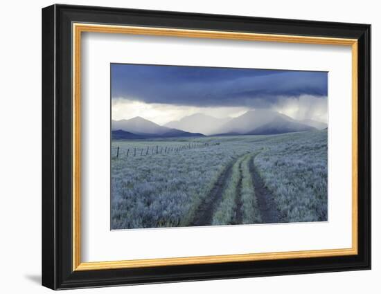 Rain Showers over Sagebrush-Steppe at the Foot of the Sawtooth Mountains-Gerrit Vyn-Framed Photographic Print