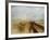 Rain, Steam and Speed-J M W Turner-Framed Art Print