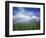 Rainbow Above Sugar Cane Field on Maui-James Randklev-Framed Photographic Print