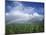 Rainbow Above Sugar Cane Field on Maui-James Randklev-Mounted Photographic Print