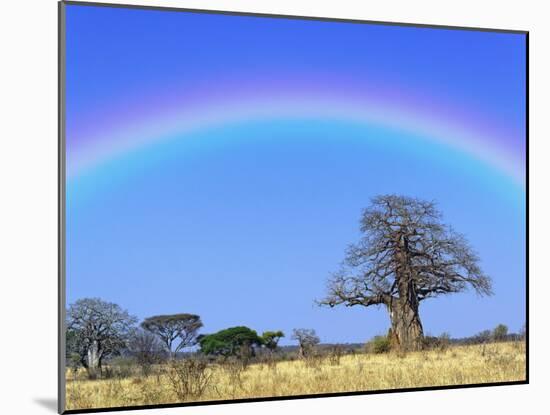 Rainbow and African baobab tree, Tarangire National Park, Tanzania-Adam Jones-Mounted Photographic Print