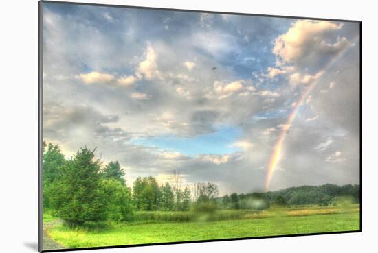 Rainbow and Heron-Robert Goldwitz-Mounted Photographic Print