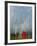 Rainbow and Monks with Praying Flags, Phobjikha Valley, Gangtey Village, Bhutan-Keren Su-Framed Photographic Print