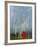 Rainbow and Monks with Praying Flags, Phobjikha Valley, Gangtey Village, Bhutan-Keren Su-Framed Photographic Print