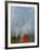 Rainbow and Monks with Praying Flags, Phobjikha Valley, Gangtey Village, Bhutan-Keren Su-Framed Photographic Print