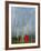 Rainbow and Monks with Praying Flags, Phobjikha Valley, Gangtey Village, Bhutan-Keren Su-Framed Photographic Print