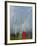 Rainbow and Monks with Praying Flags, Phobjikha Valley, Gangtey Village, Bhutan-Keren Su-Framed Photographic Print