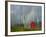 Rainbow and Monks with Praying Flags, Phobjikha Valley, Gangtey Village, Bhutan-Keren Su-Framed Photographic Print