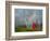 Rainbow and Monks with Praying Flags, Phobjikha Valley, Gangtey Village, Bhutan-Keren Su-Framed Photographic Print