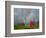 Rainbow and Monks with Praying Flags, Phobjikha Valley, Gangtey Village, Bhutan-Keren Su-Framed Photographic Print