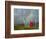 Rainbow and Monks with Praying Flags, Phobjikha Valley, Gangtey Village, Bhutan-Keren Su-Framed Photographic Print