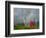 Rainbow and Monks with Praying Flags, Phobjikha Valley, Gangtey Village, Bhutan-Keren Su-Framed Photographic Print