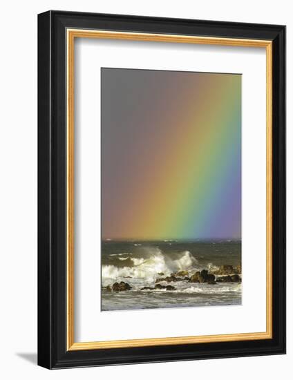 Rainbow and Waves, Hookipa Beach Park, Mauii, Hawaii, USA-Jaynes Gallery-Framed Photographic Print