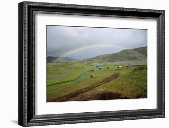 Rainbow at Lake Alftavatn, Fjallabak National Park, Iceland-null-Framed Art Print