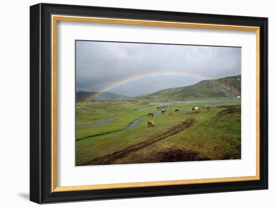 Rainbow at Lake Alftavatn, Fjallabak National Park, Iceland-null-Framed Art Print