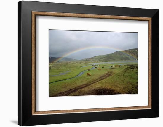 Rainbow at Lake Alftavatn, Fjallabak National Park, Iceland-null-Framed Art Print