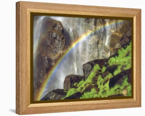 Rainbow at the Base of Bridal Veil Falls, Yosemite National Park, California, USA-Christopher Talbot Frank-Framed Premier Image Canvas