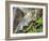 Rainbow at the Base of Bridal Veil Falls, Yosemite National Park, California, USA-Christopher Talbot Frank-Framed Photographic Print