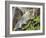 Rainbow at the Base of Bridal Veil Falls, Yosemite National Park, California, USA-Christopher Talbot Frank-Framed Photographic Print