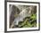 Rainbow at the Base of Bridal Veil Falls, Yosemite National Park, California, USA-Christopher Talbot Frank-Framed Photographic Print